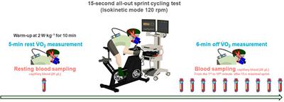 A modified formula using energy system contributions to calculate pure maximal rate of lactate accumulation during a maximal sprint cycling test